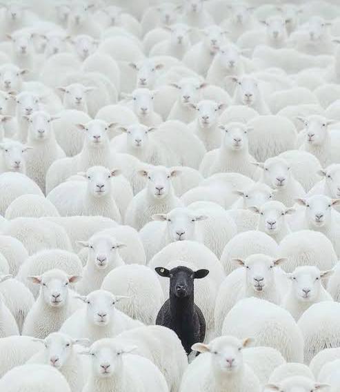 İnsanın Görünmez Mimarları